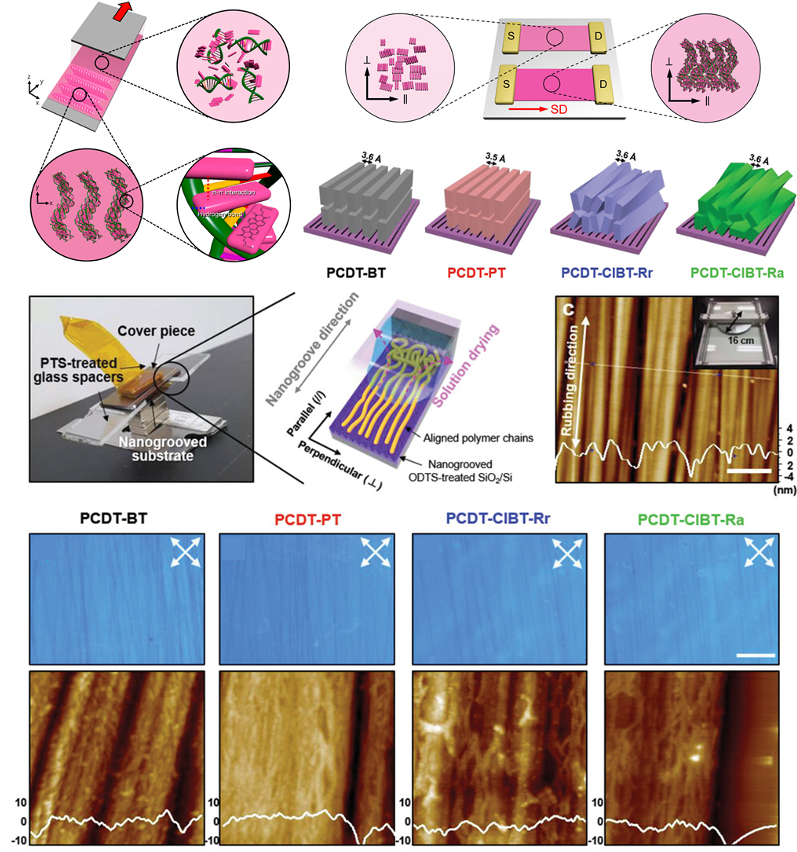 Patterned OFETs