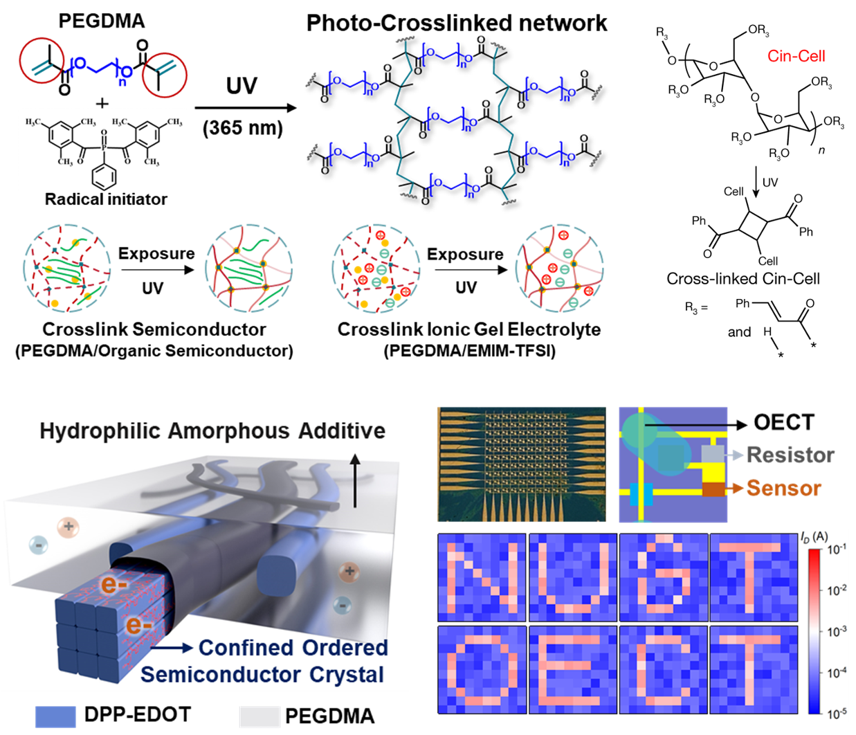 Cross-linkable Polymers