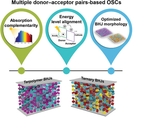 Organic Photovoltaics with Multiple Donor–Acceptor Pairs