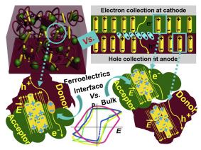 A built-in electric field induced by ferroelectrics increases halogen-free organic solar cell efficiency in various device types
