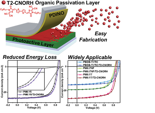 Highly Efficient Organic Photovoltaics Enhanced Using Organic Passivation Layer Vacuum Deposition