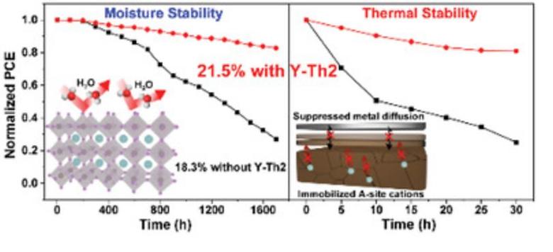 High-Performance Inverted Perovskite Solar Cells with Operational Stability via n-Type Small Molecule Additive-Assisted Defect Passivation