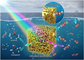 High performance H2O2 production achieved by sulfur-doped carbon on CdS photocatalyst via inhibiting reverse H2O2 decomposition