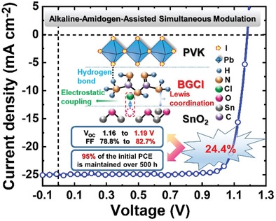 Simultaneous Interfacial Modification and Crystallization Control by Biguanide Hydrochloride for Stable Perovskite Solar Cell with PCE of 24.4%