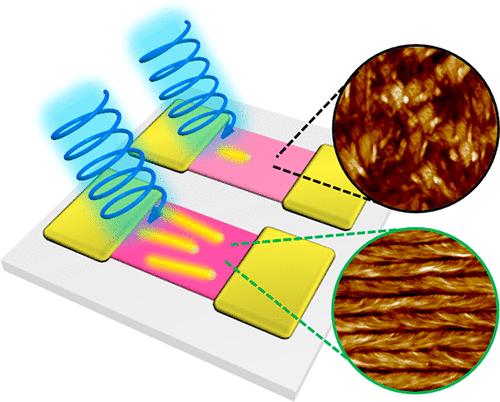 Chiral Optoelectronic Functionalities via the DNA–Organic Semiconductor Complex