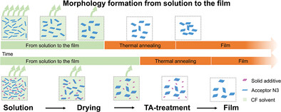 Solid Additive Delicately Controls Morphology Formation and Enables High‐Performance in Organic Solar Cells