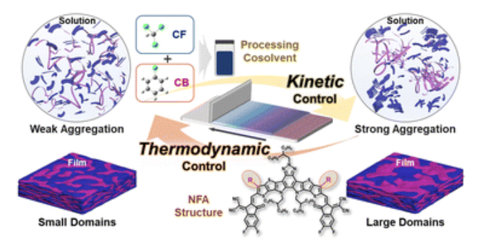 Role of Simultaneous Thermodynamic and Kinetic Variables in Optimizing Blade-Coated Organic Solar Cells