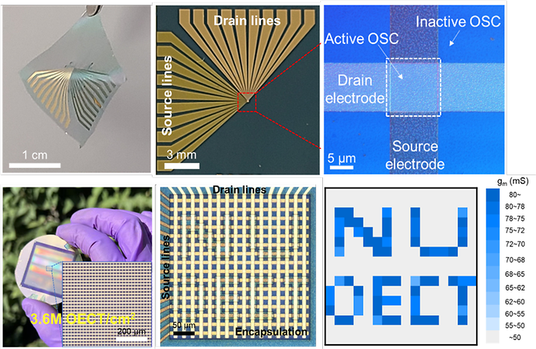Monolithically integrated high-density vertical organic electrochemical transistor arrays and complementary circuits