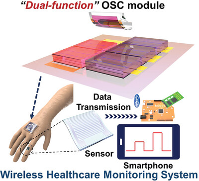 Transfer printing of photoactive layer enabling efficient, wearable, and dual-function organic solar cell modules for a wireless healthcare monitoring system