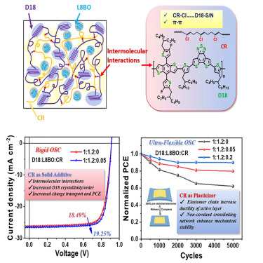 High-Efficiency Ultra-flexible Organic Solar Cells Enabled by Chloroprene Rubber as Both a Nonvolatile Solid Additive and Plasticizer