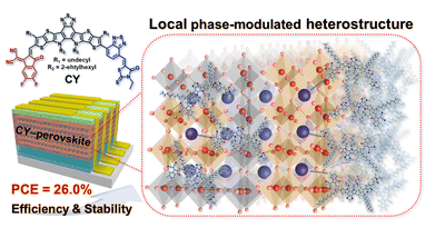 Local phase-modulated heterostructures for perovskite solar cells with high-efficiency and ultra-stability 