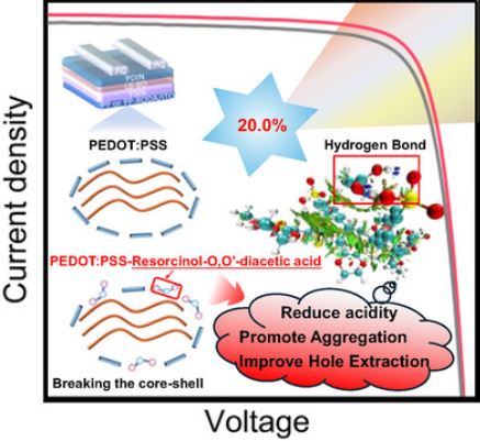 Overcoming the Conductivity-Stability Trade-off in PEDOT:PSS via Hydrogen-Bond Modulation Enables 20.0% Efficient Bilayer Organic Solar Cells