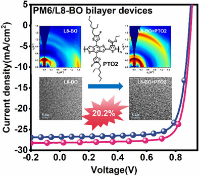 Tailoring Molecular Orientation with a Polymer Additive Enables Bilayer Organic Solar Cells with 20.2% Efficiency